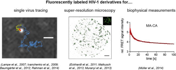 Figure1_klein